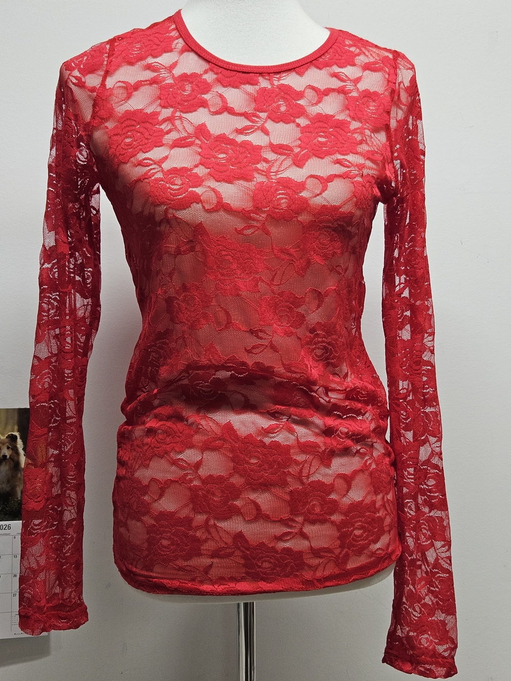 Y2K Red Sheer Floral Lace Long Sleeve Top Crew Neck Stretch Size L Romantic Rave